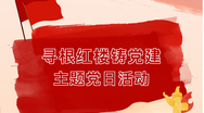 寻根红楼铸党建—主题党日活动